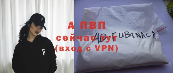 МДПВ Бородино