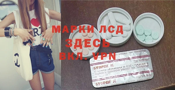 МДПВ Бородино