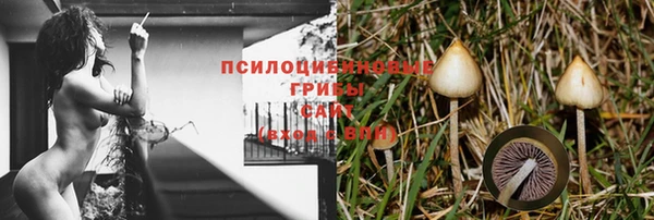 хмурый Бронницы