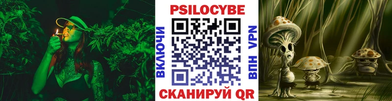это наркотические препараты  Осинники  Галлюциногенные грибы Cubensis 