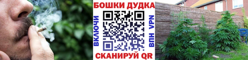 hydra как войти  Осинники  Конопля индика  продажа наркотиков 